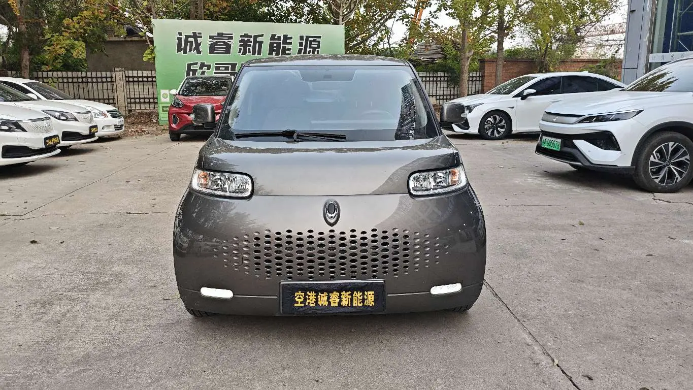 ORA Euler white cat  из Китая