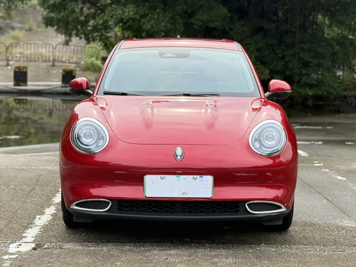 ORA Euler good cat  из Китая