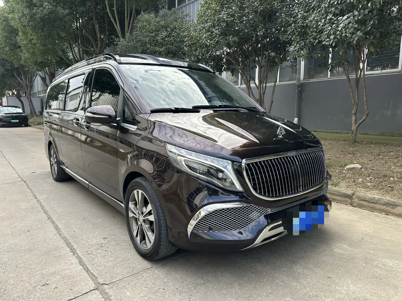 Mercedes-Benz Mercedes Benz V Class  из Китая