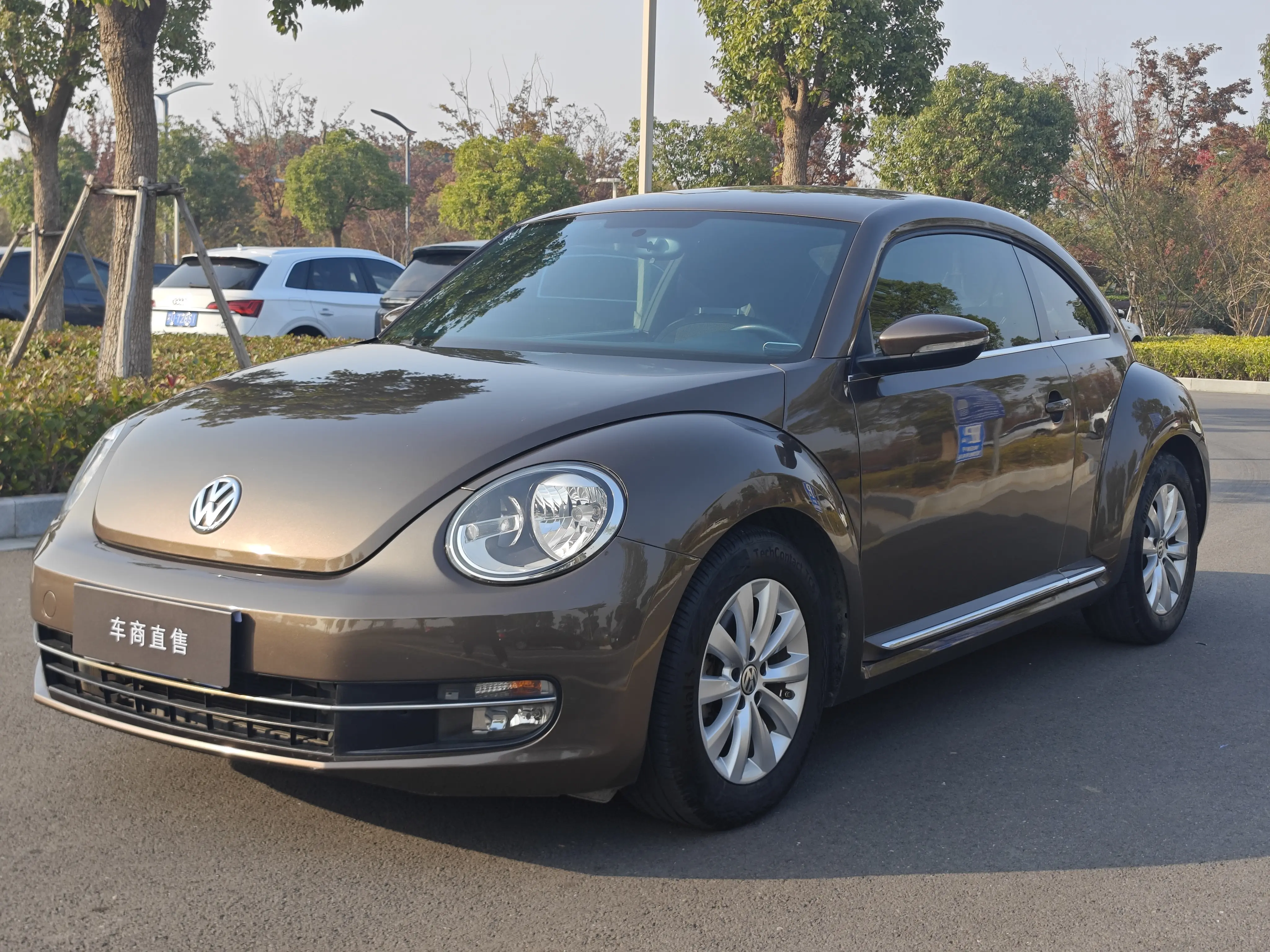 Volkswagen Beetle  из Китая
