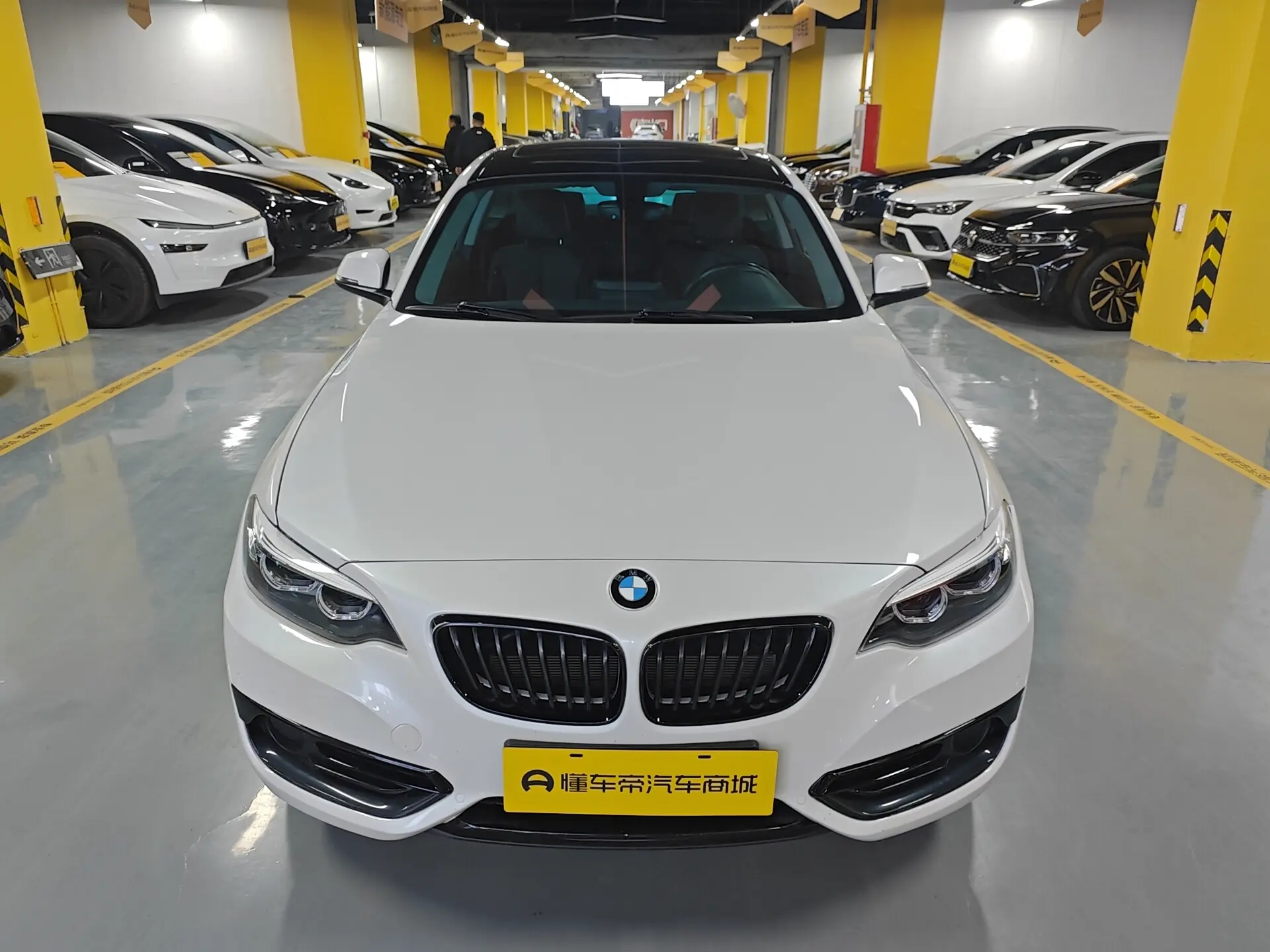 BMW 2 Series (Imported)  из Китая