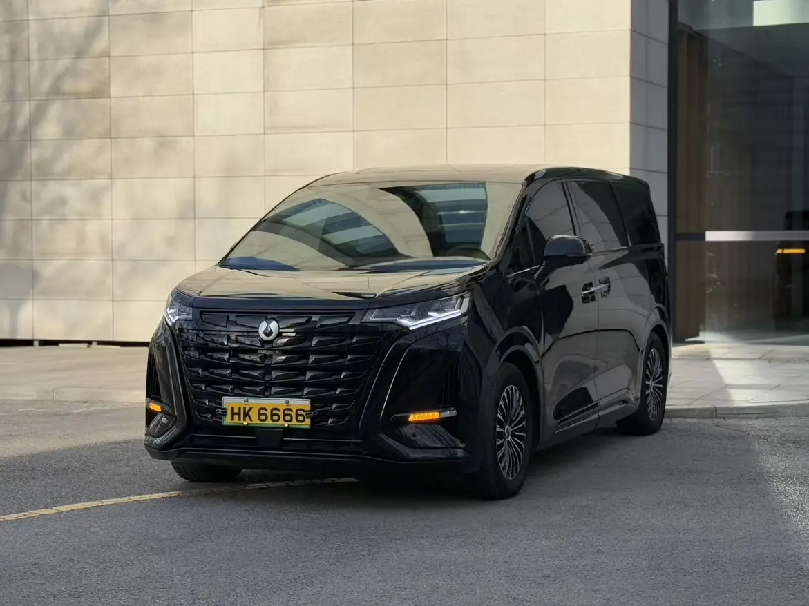 Denza D9 DM  из Китая