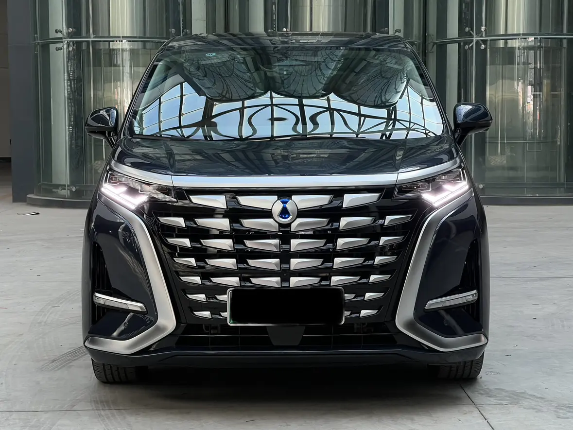 Denza D9 DM  из Китая