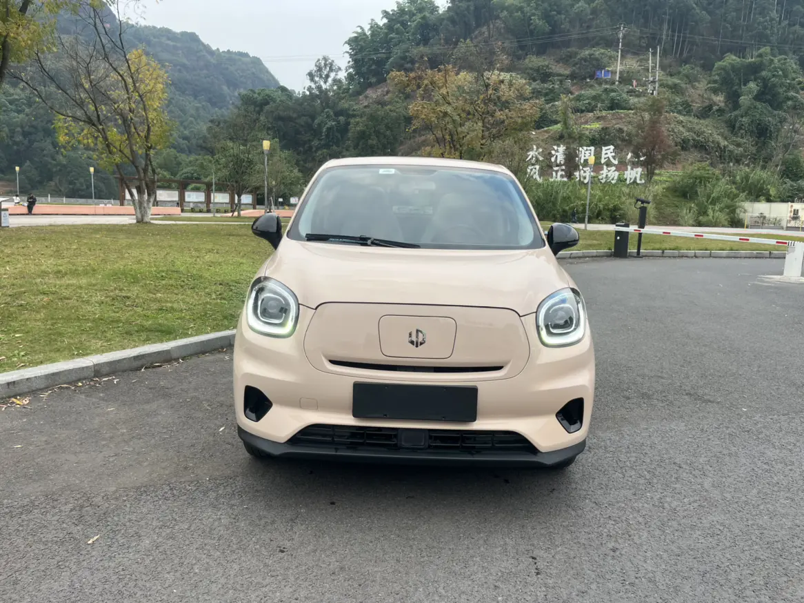 Leapmotor Zero running T03  из Китая