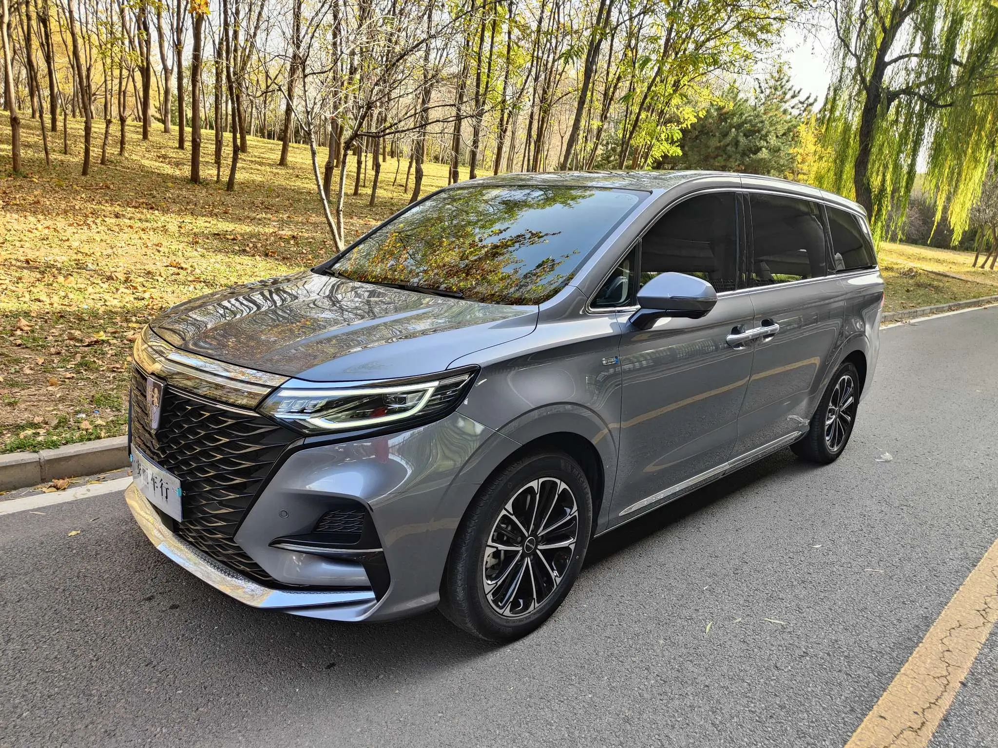 Roewe iMAX8  из Китая