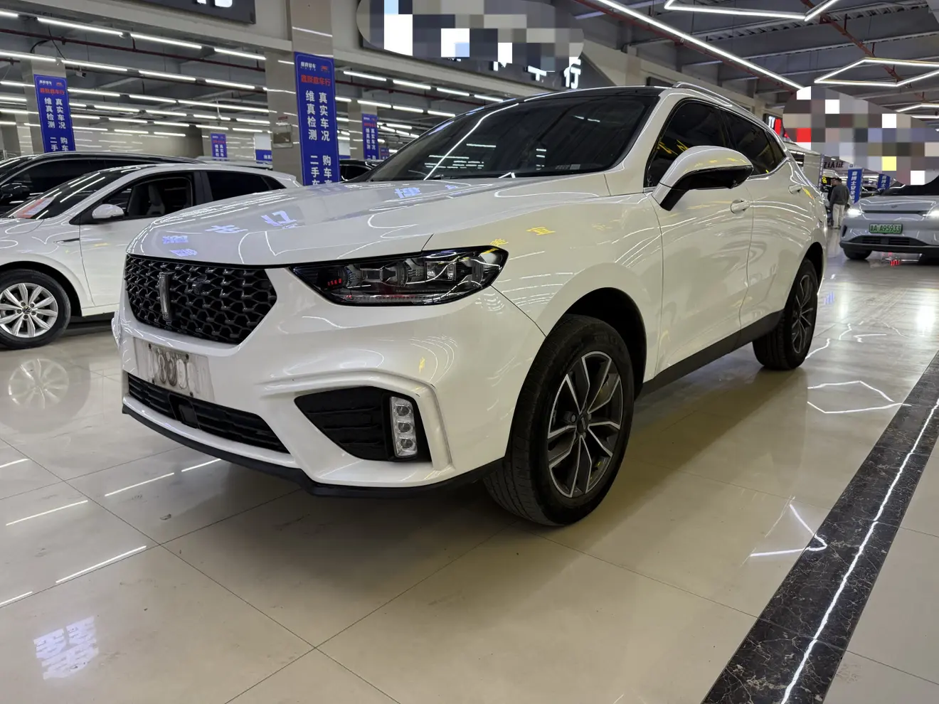 Wey Wei brand VV5  из Китая