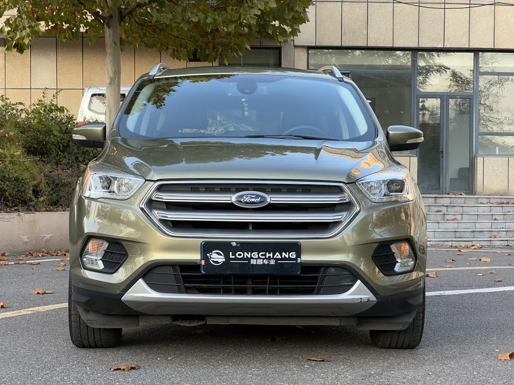 Ford Wing tiger  из Китая