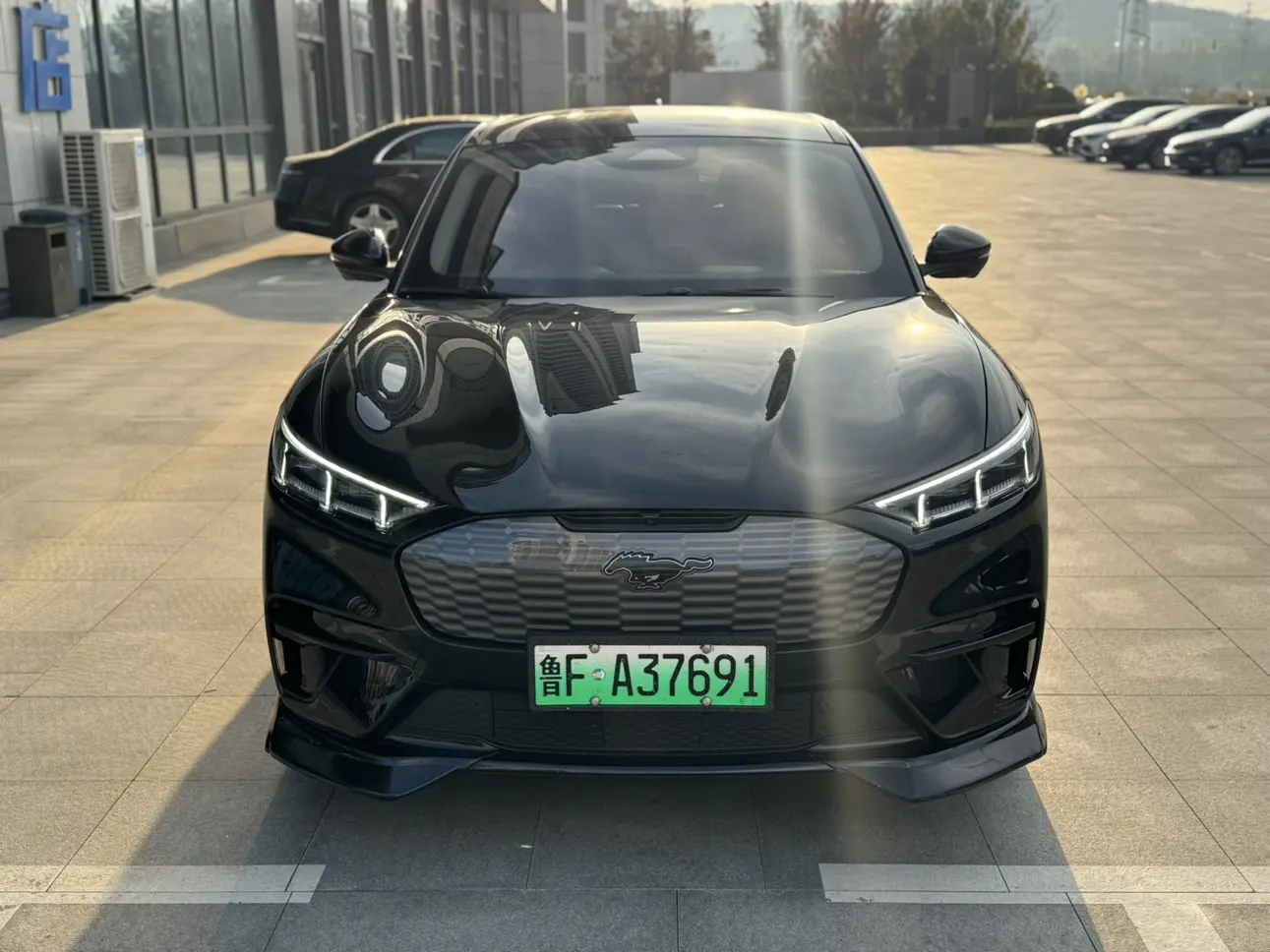 Ford electric horse  из Китая