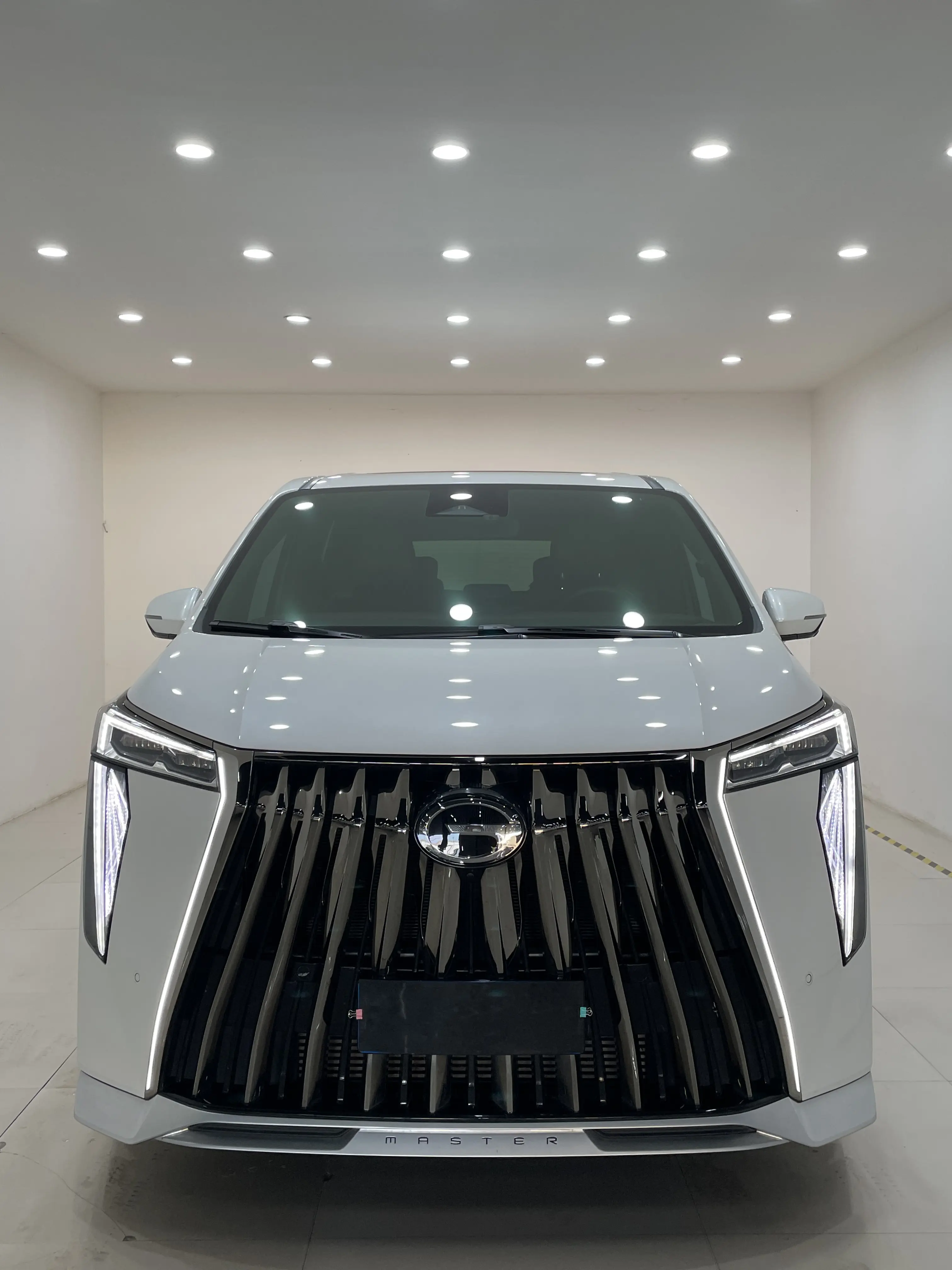 GAC Trumpchi M8  из Китая