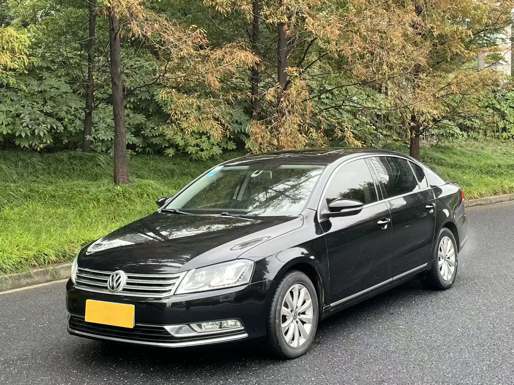 Volkswagen Magotan  из Китая