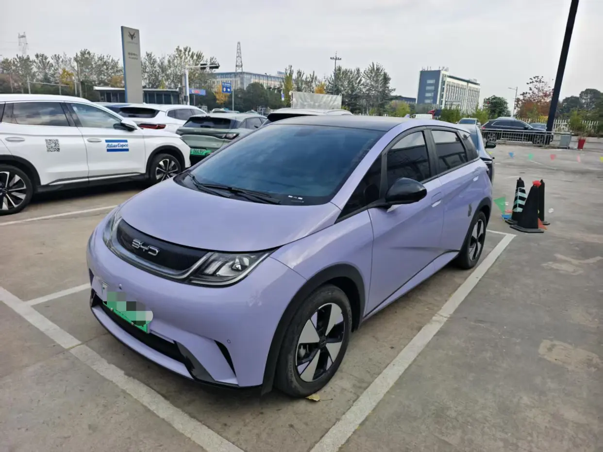 BYD Dolphin  из Китая
