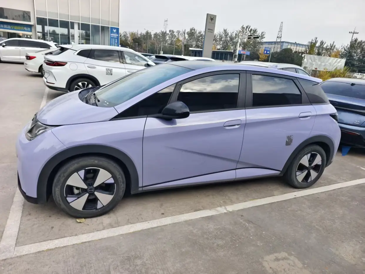 BYD Dolphin  из Китая