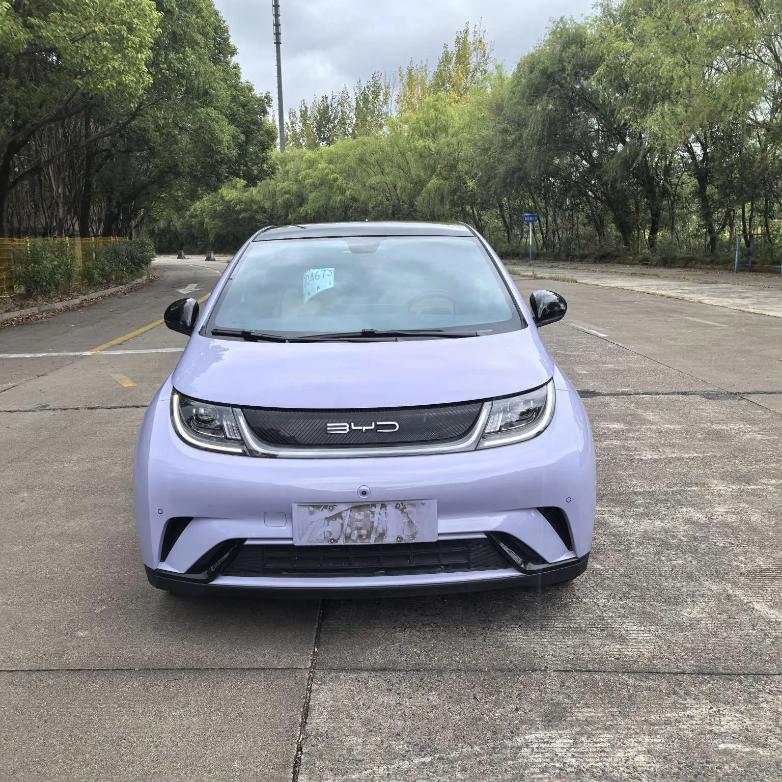 BYD Dolphin  из Китая