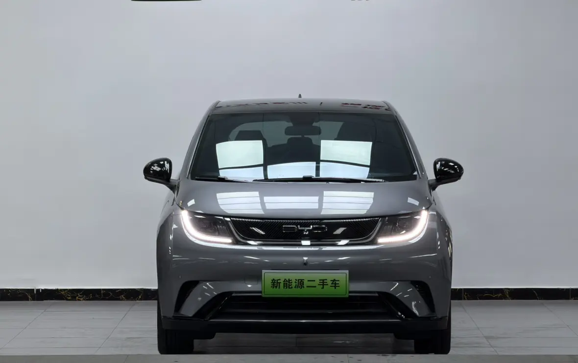 BYD Dolphin  из Китая