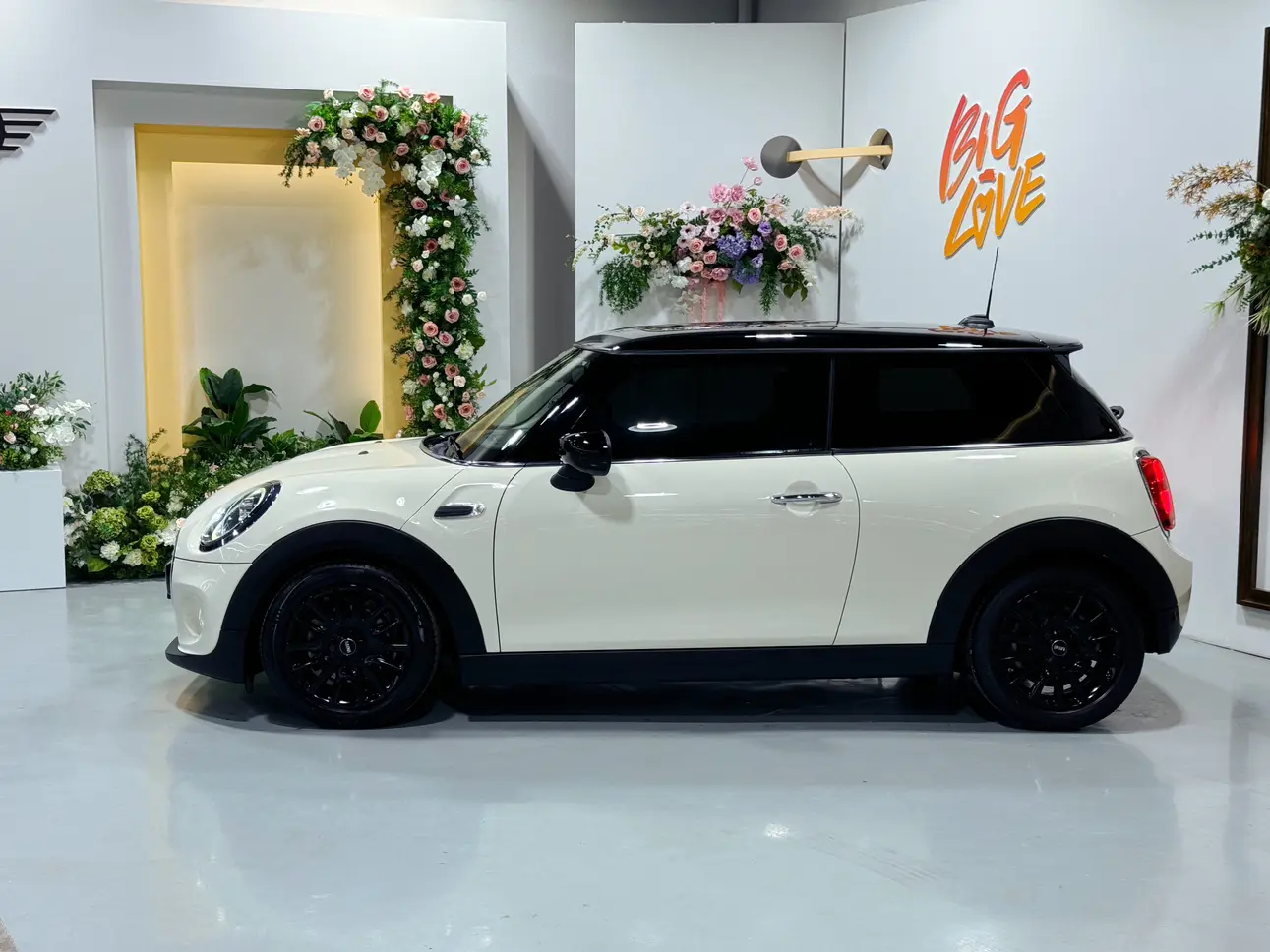 MINI 