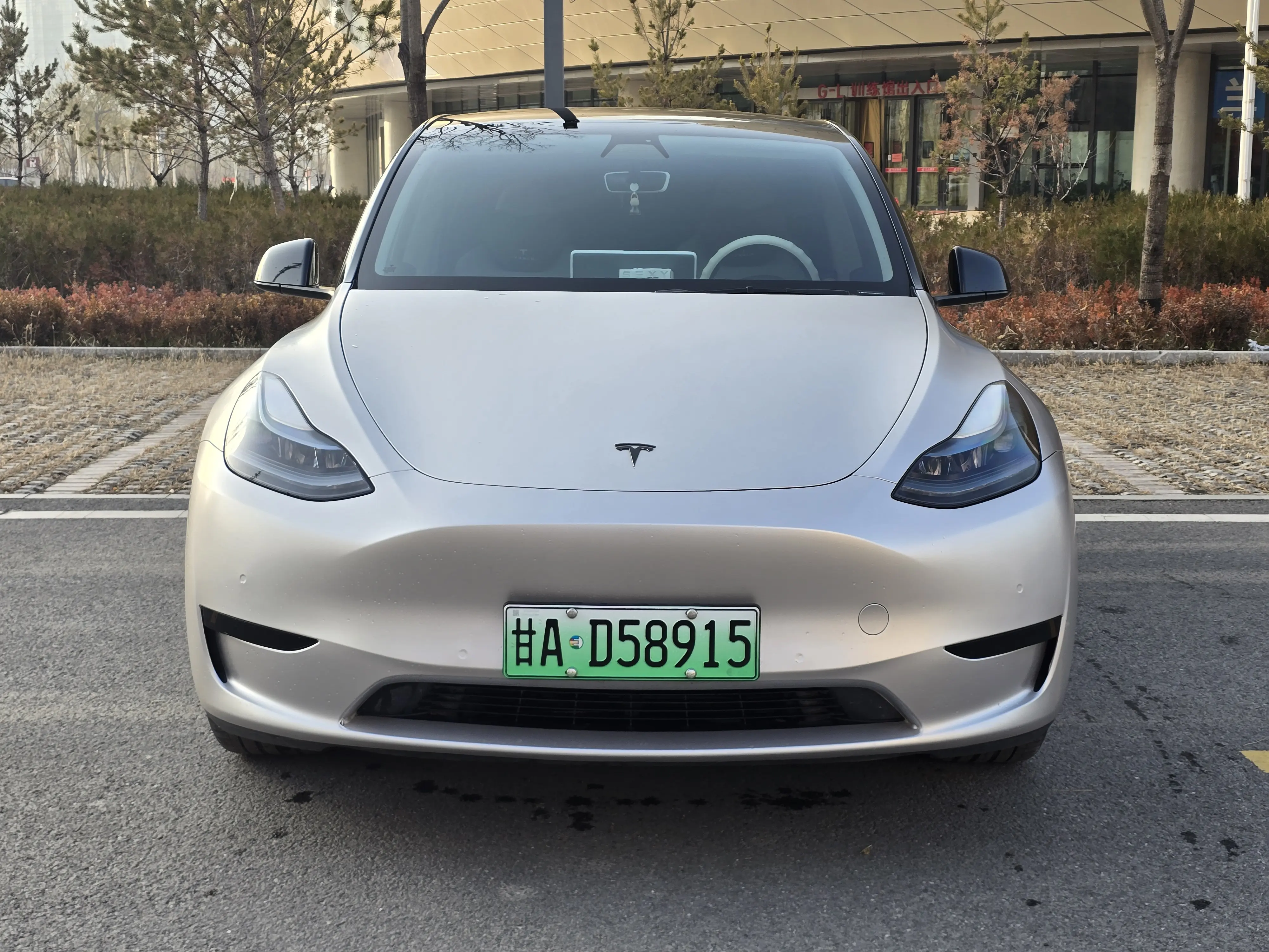 Tesla Model Y  из Китая