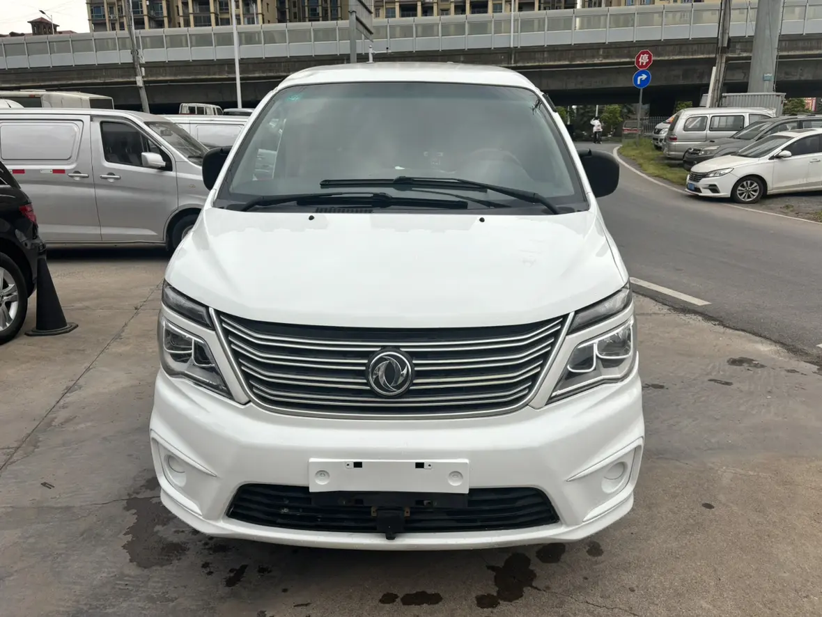 Forthing Lingzhi  из Китая