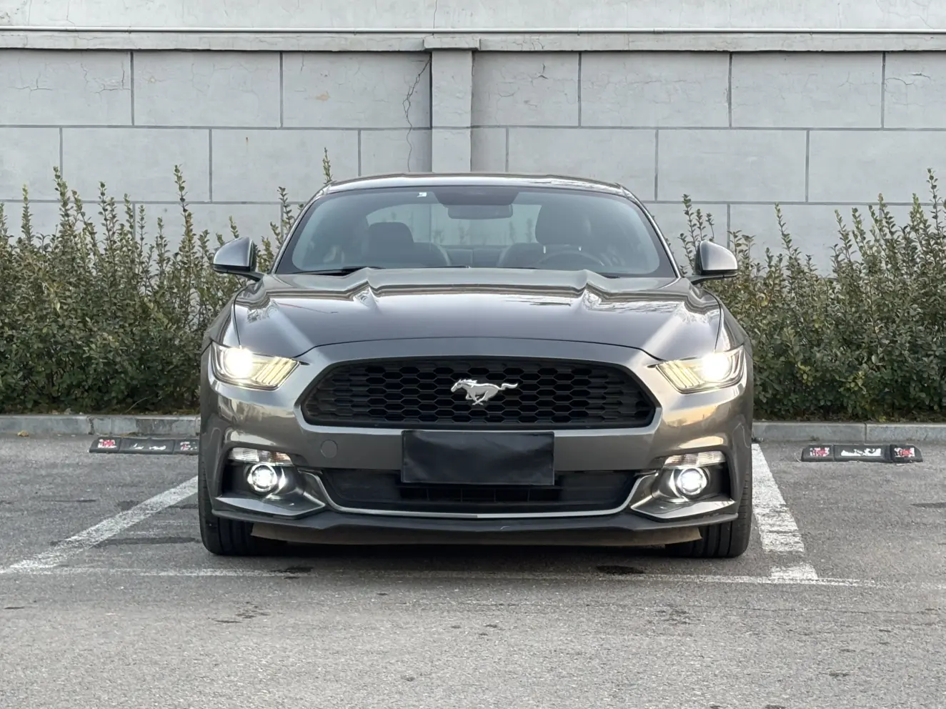 Ford Mustang  из Китая