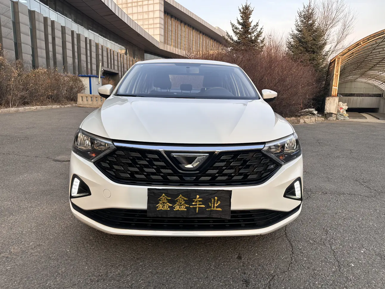 Jetta VA3  из Китая