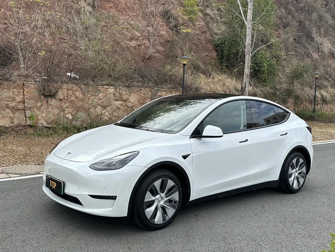 Tesla Model Y  из Китая
