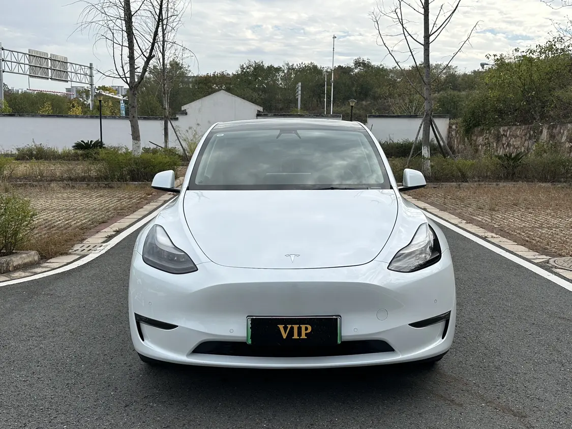 Tesla Model Y  из Китая