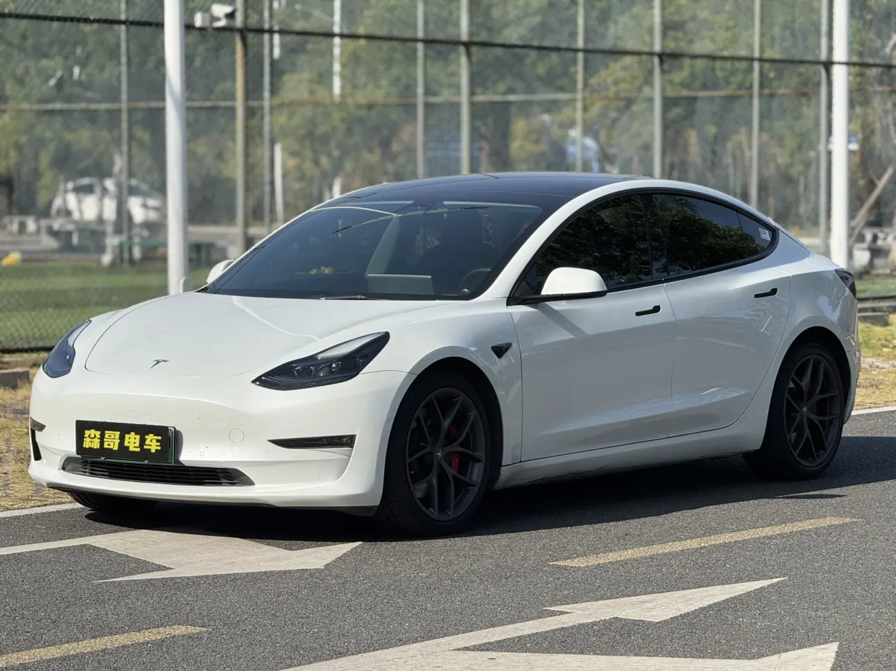 Tesla Model 3  из Китая