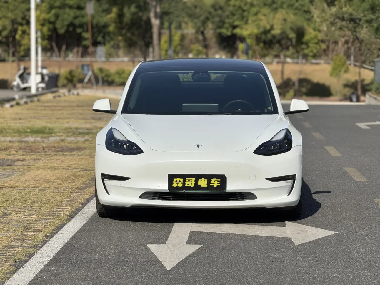 Tesla Model 3  из Китая