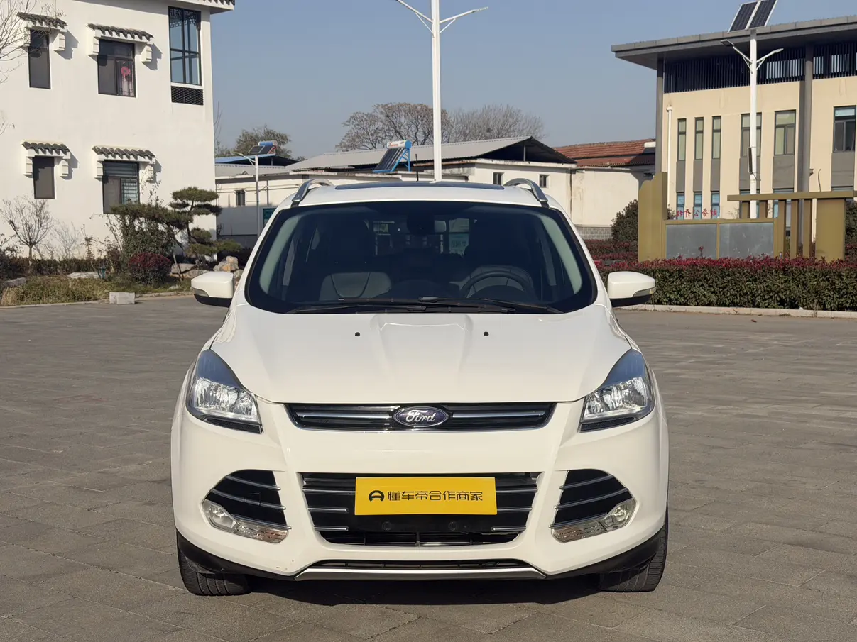 Ford Wing tiger  из Китая