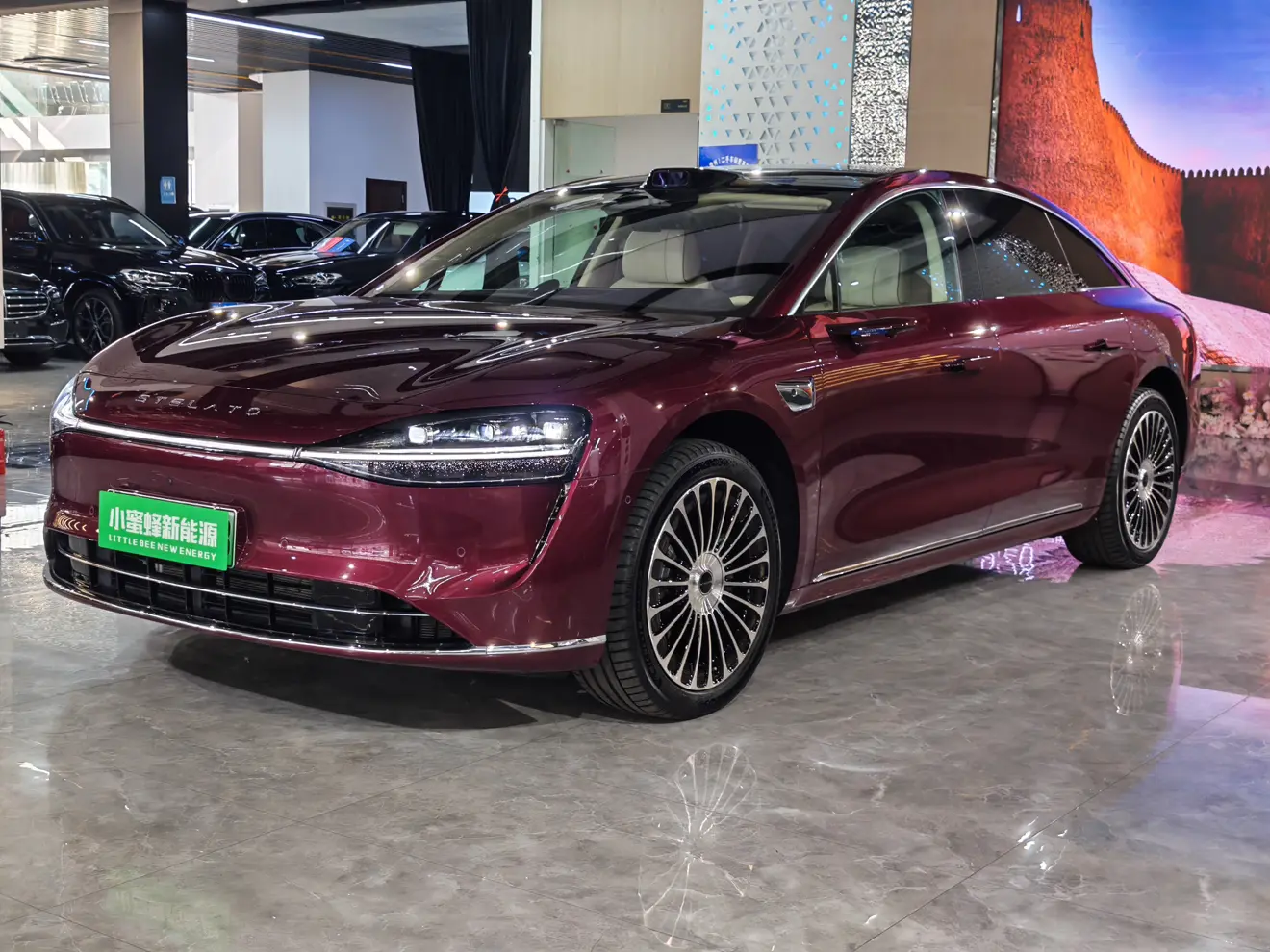 Enjoy the world Enjoy S9  из Китая