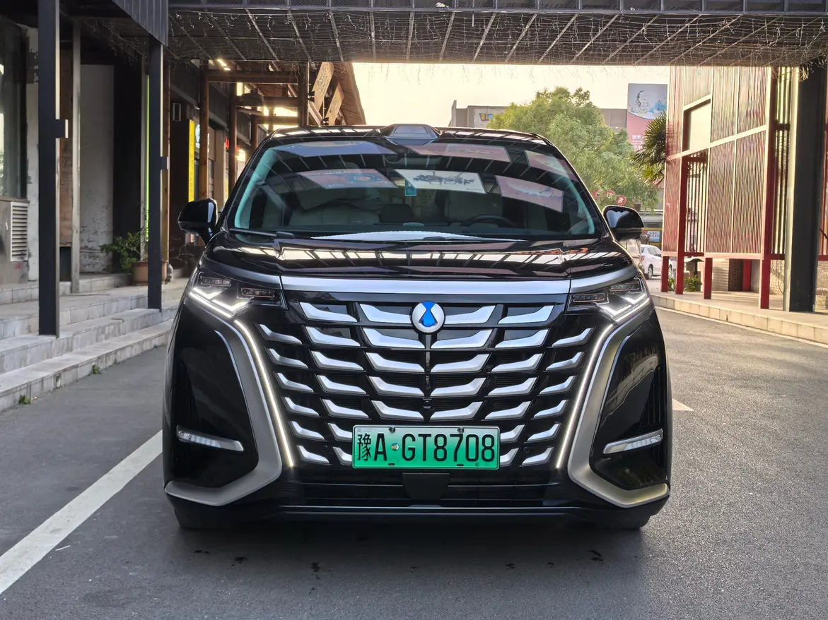 Denza D9 DM  из Китая