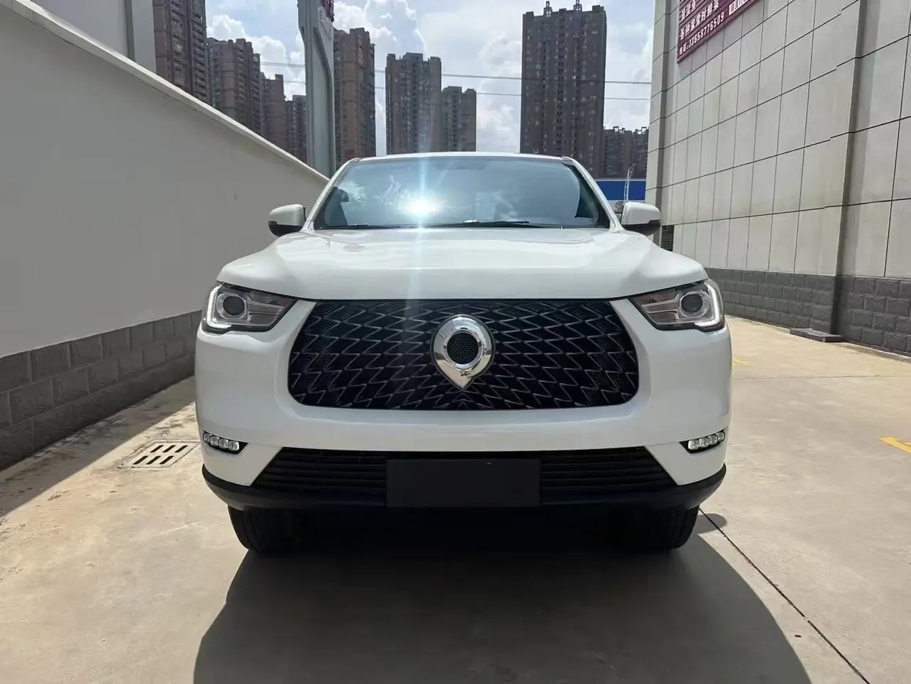 Great Wall Gun  из Китая