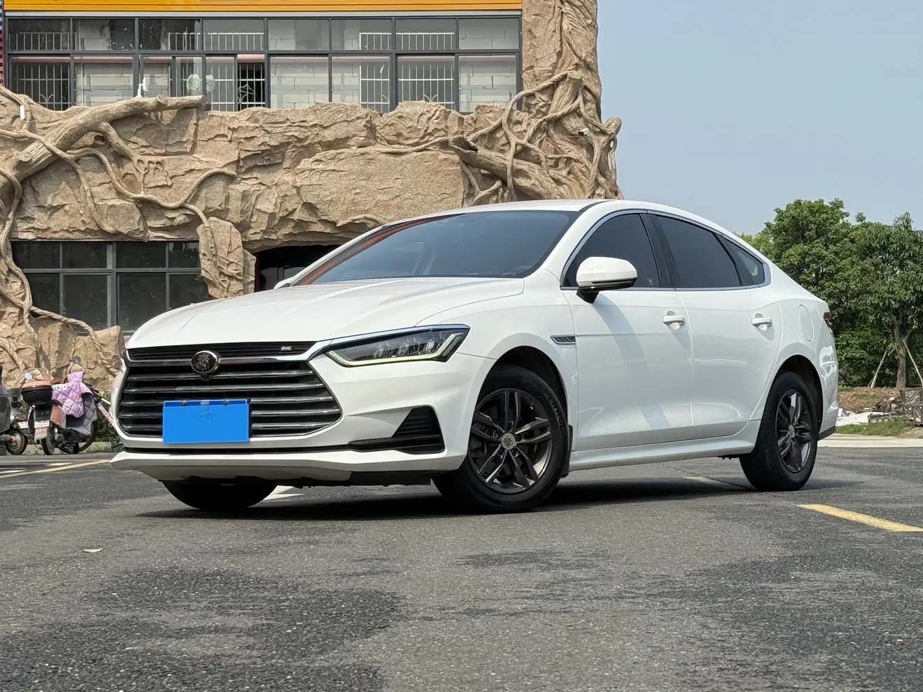 BYD Qin Pro  из Китая