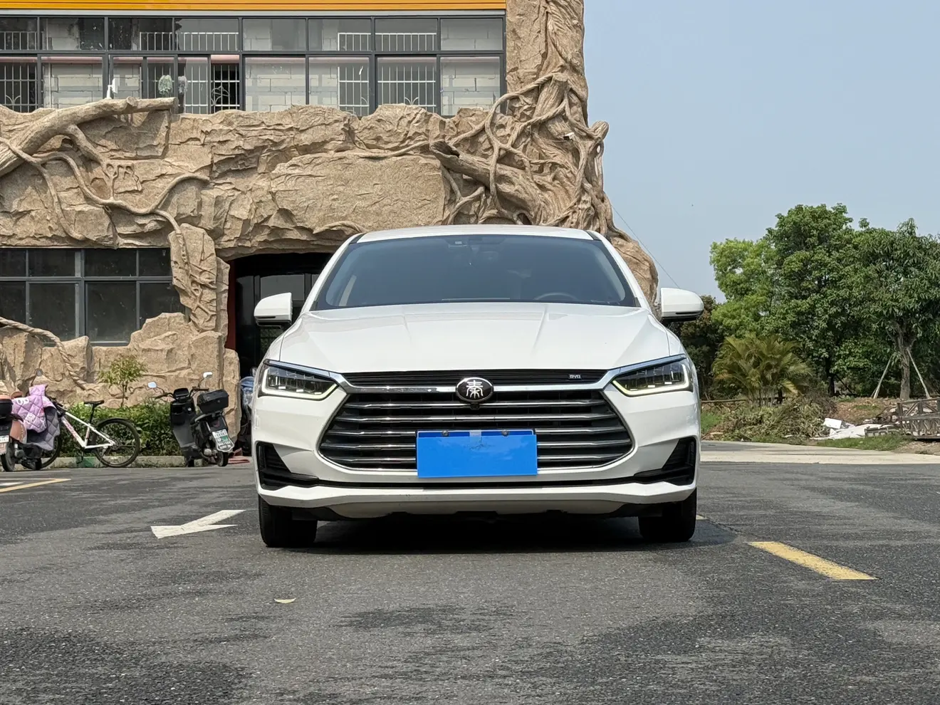 BYD Qin Pro  из Китая