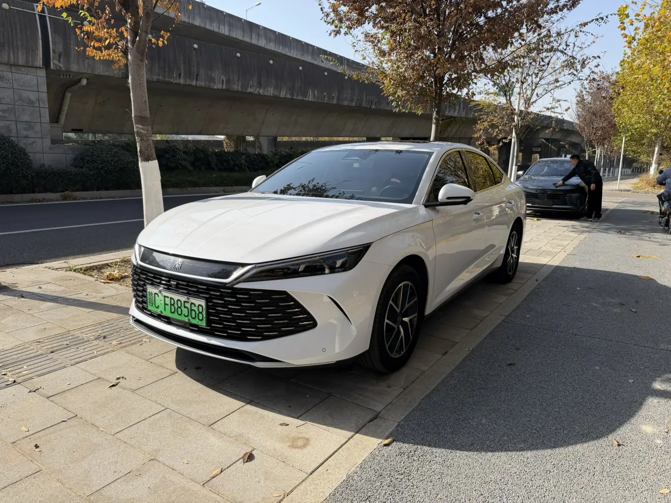 BYD Qin L DM  из Китая