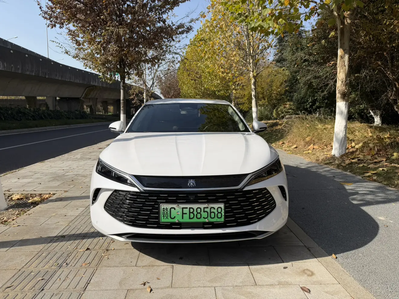 BYD Qin L DM  из Китая