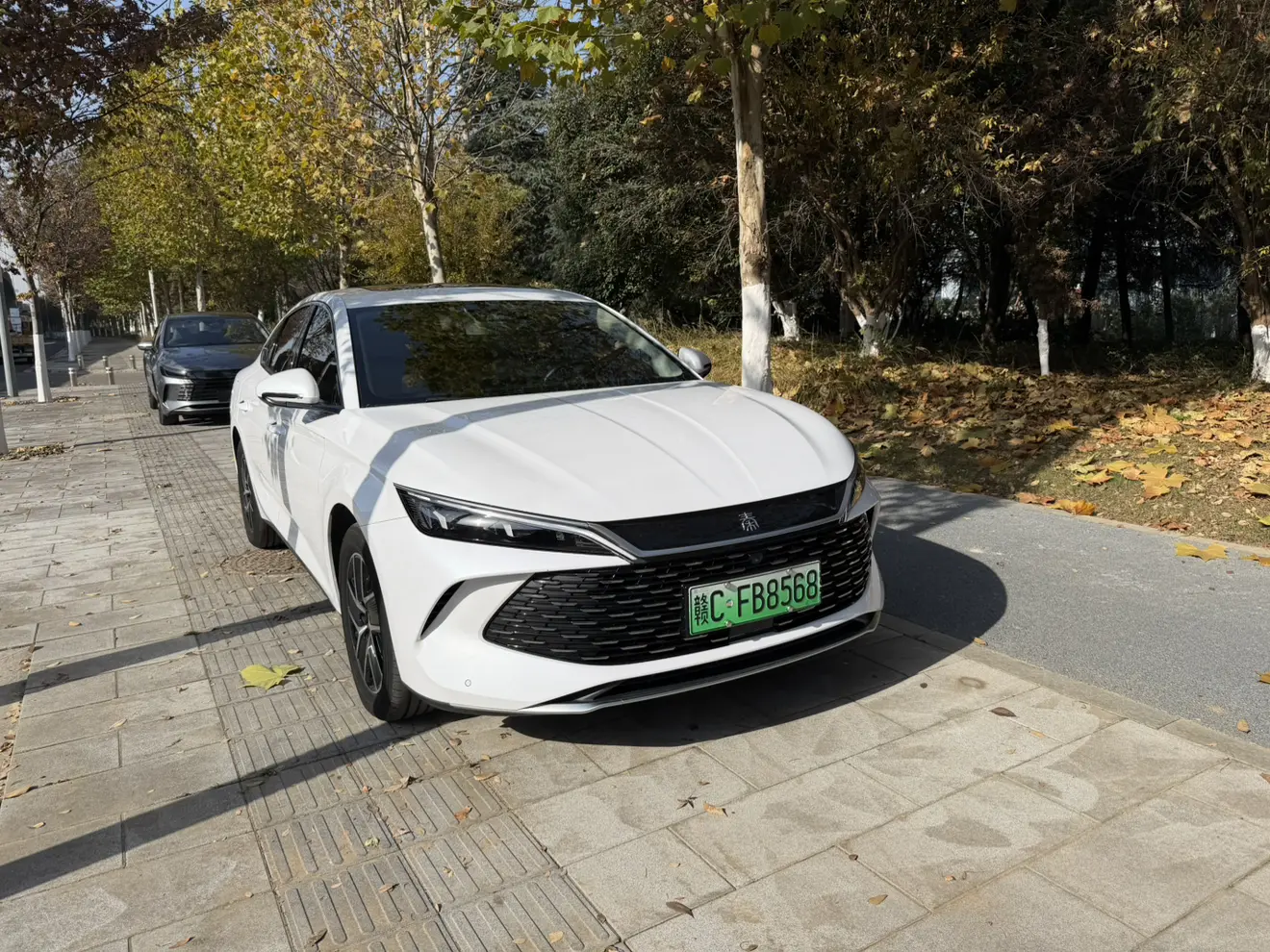 BYD Qin L DM