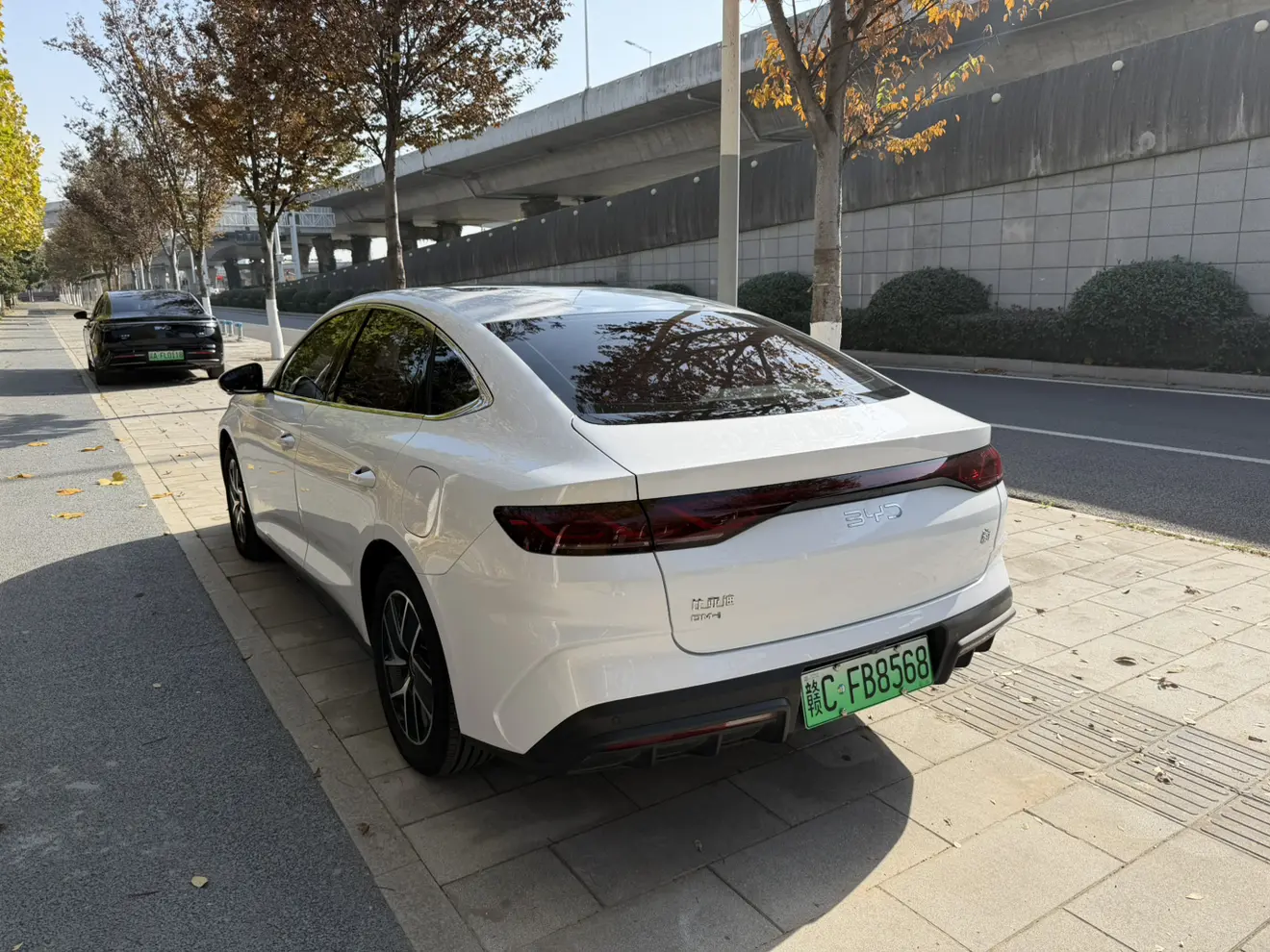 BYD Qin L DM
