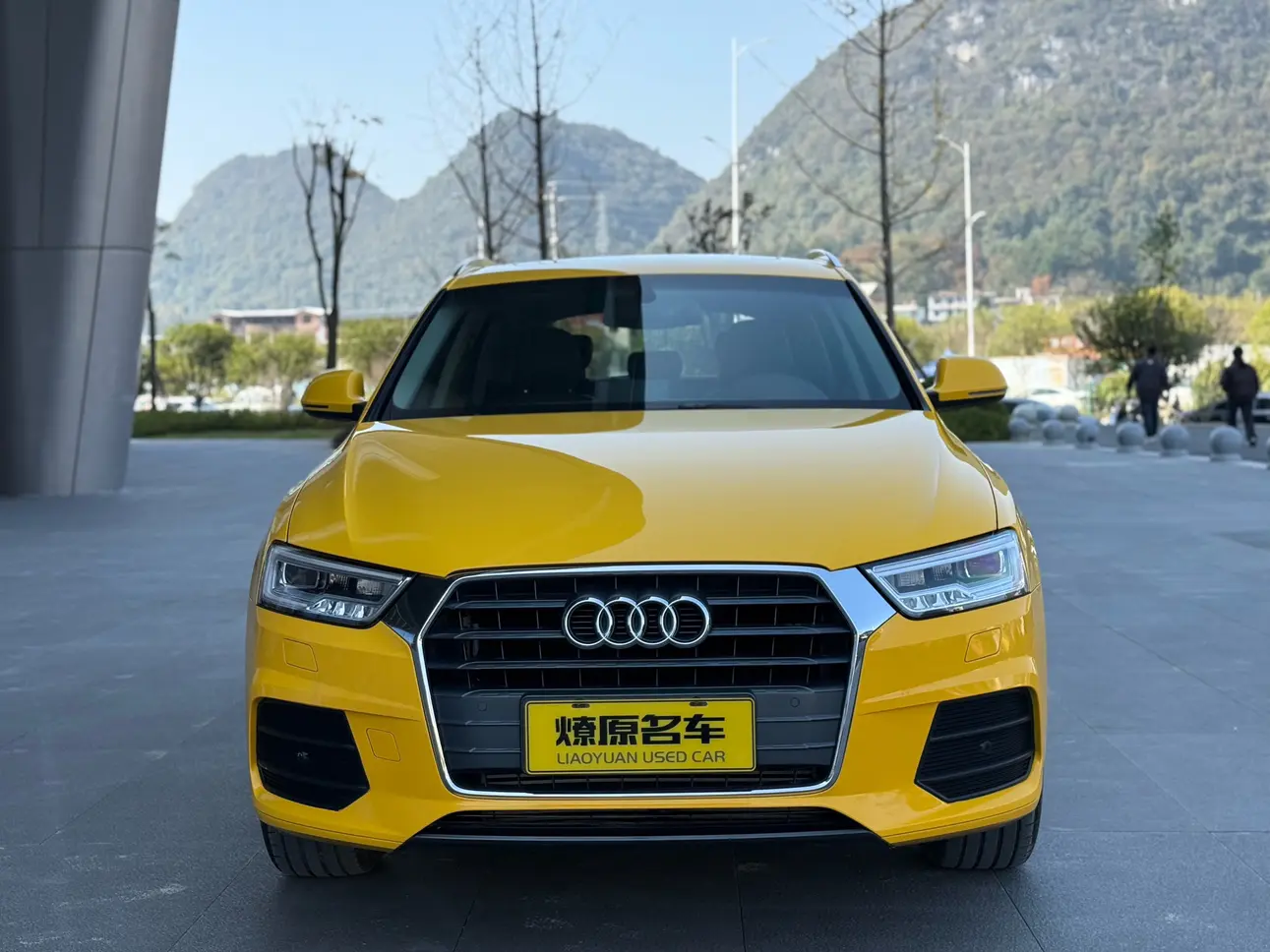 Audi Q3  из Китая