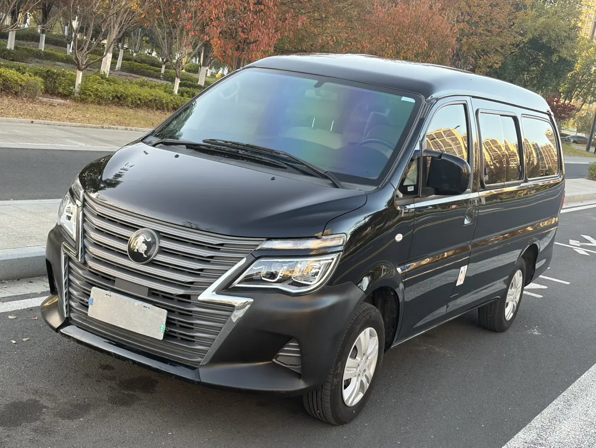 Forthing Lingzhi  из Китая