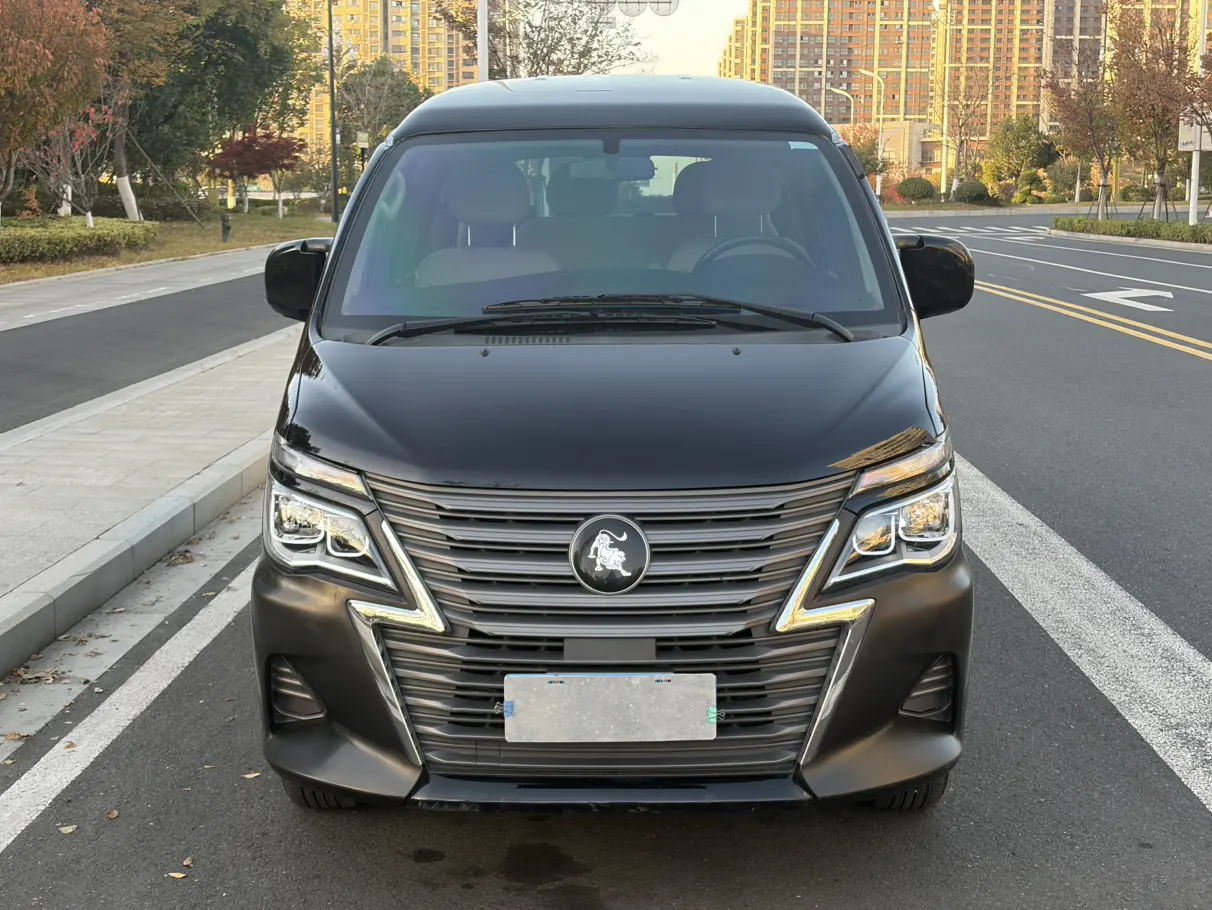 Forthing Lingzhi  из Китая