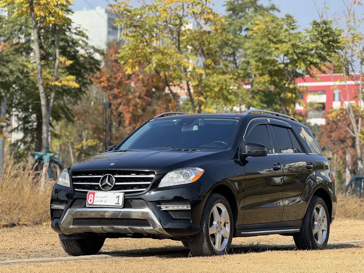 Mercedes-Benz Mercedes Benz M Class  из Китая