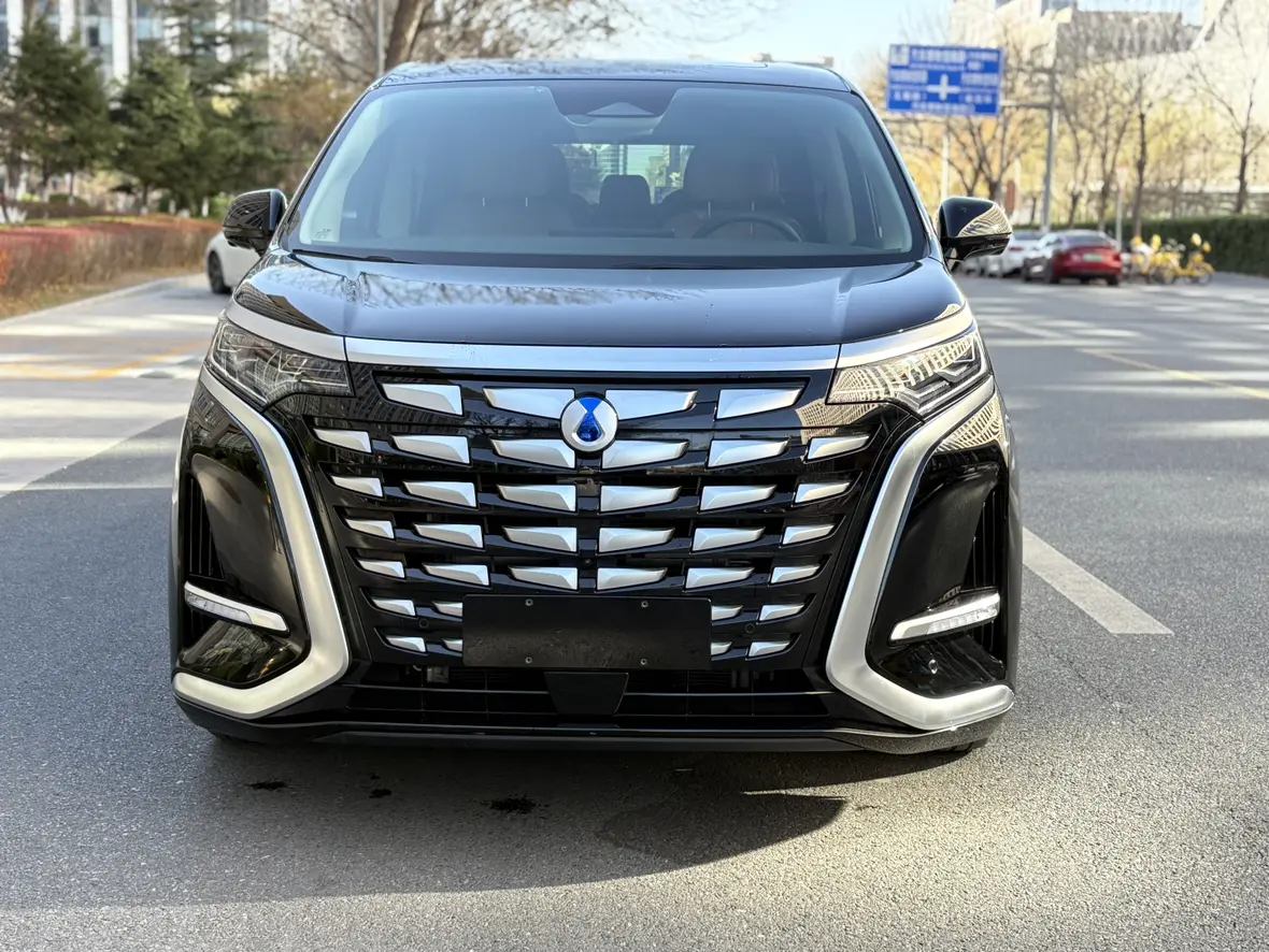 Denza D9 DM  из Китая