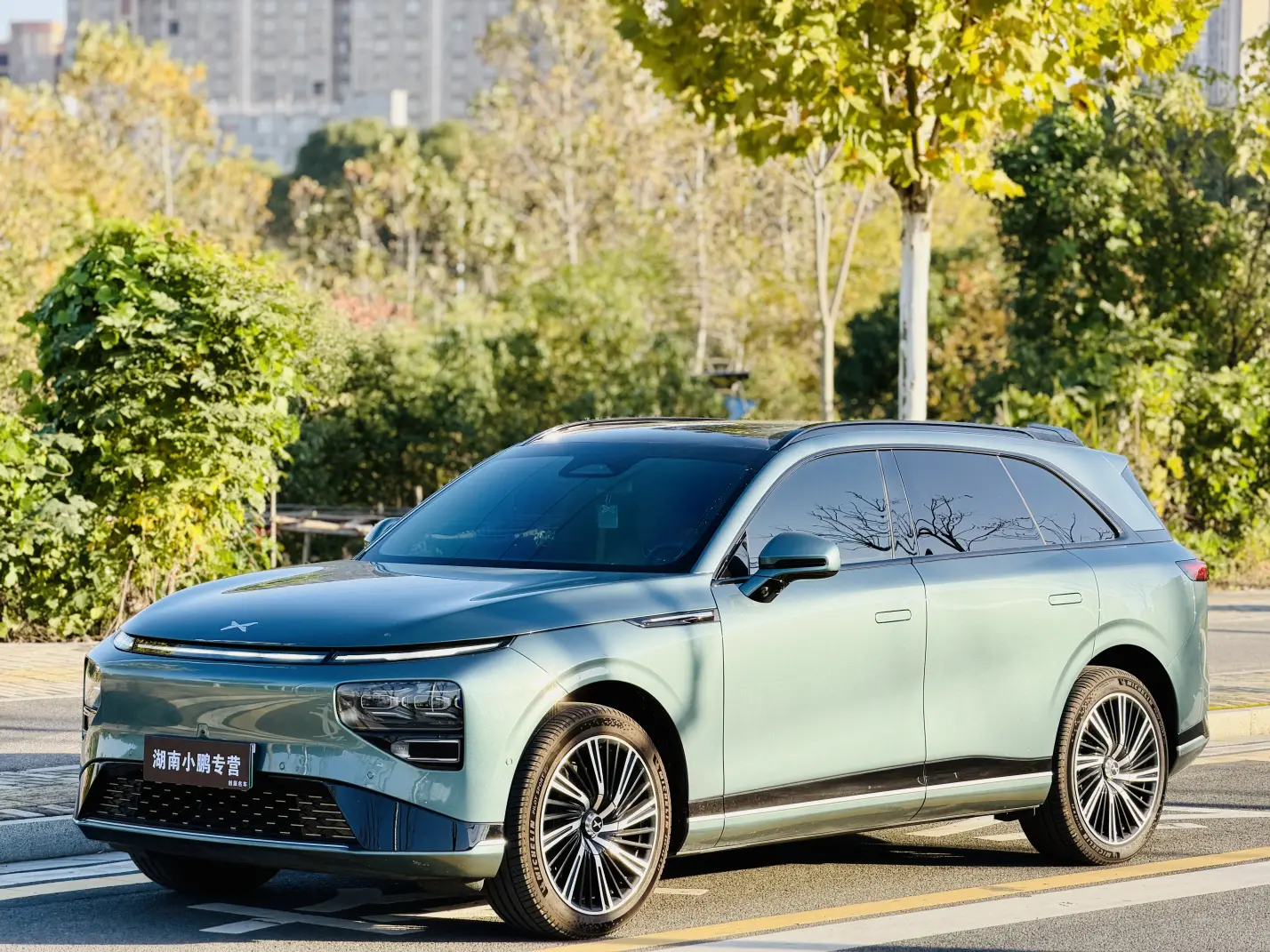 Xpeng G9  из Китая