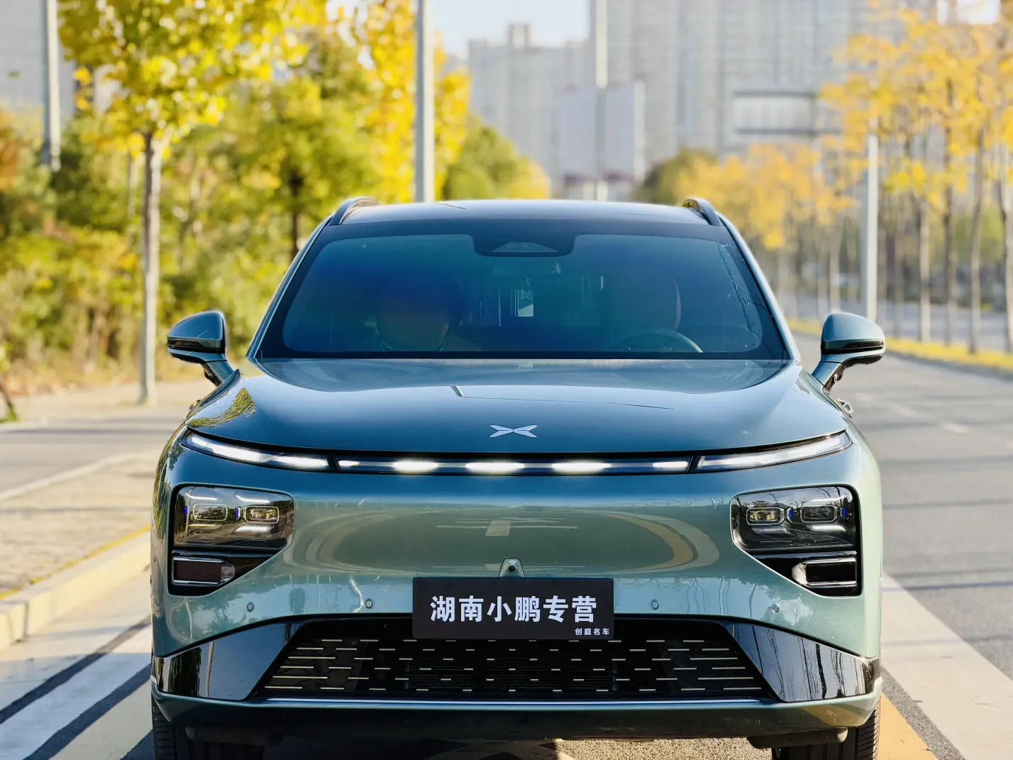 Xpeng G9  из Китая