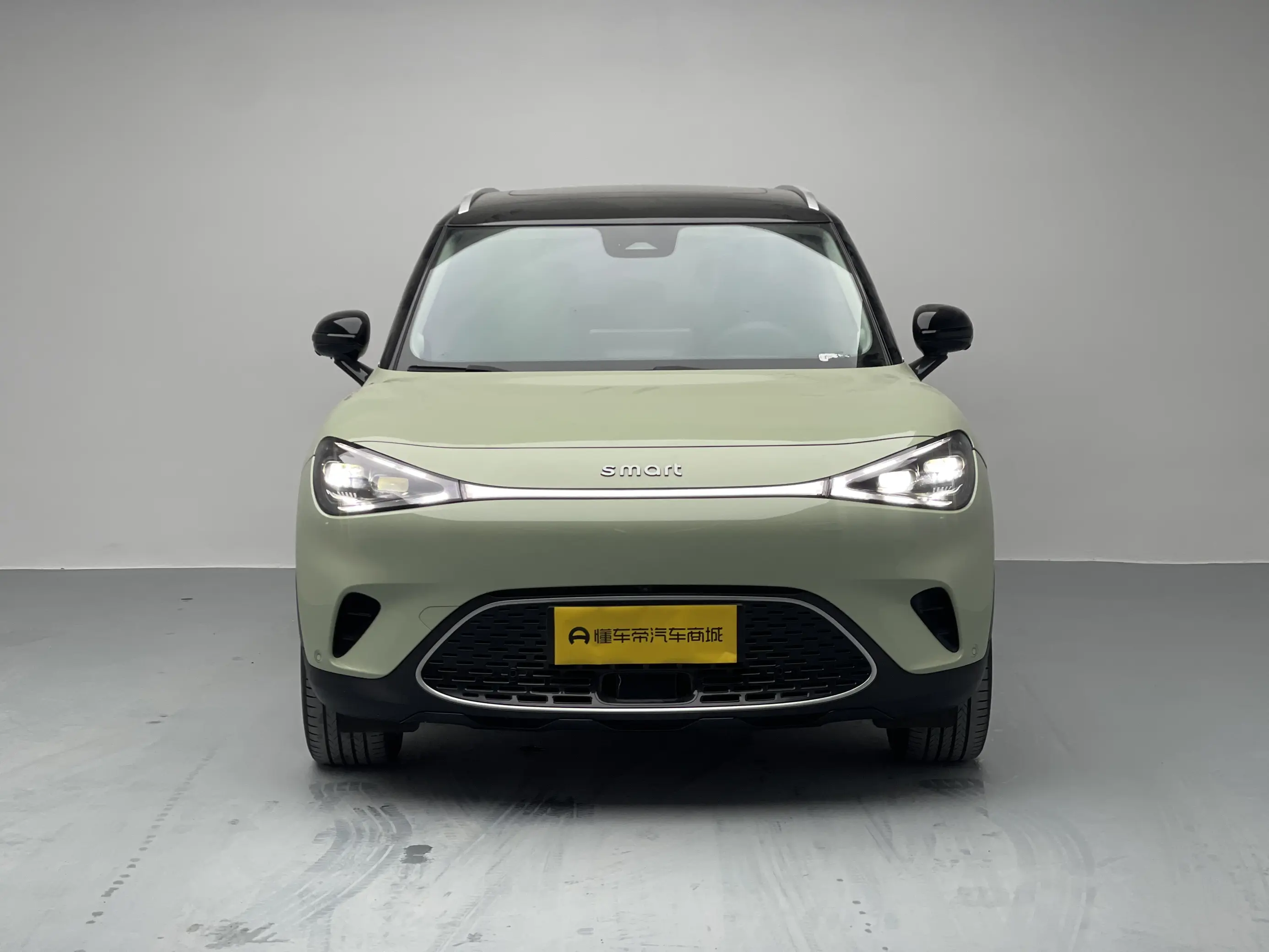 Smart elf #1  из Китая