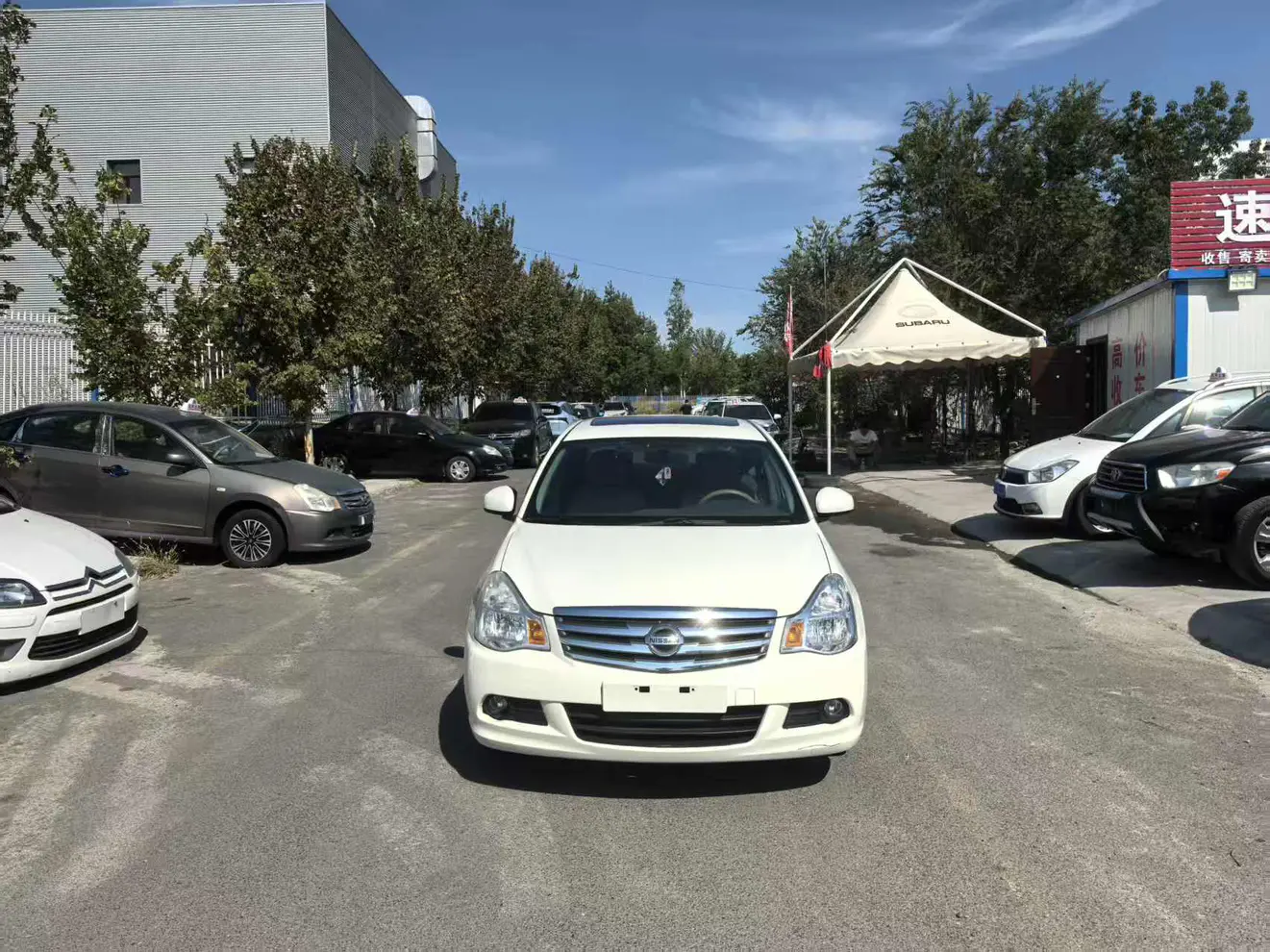 Nissan Sylphy  из Китая