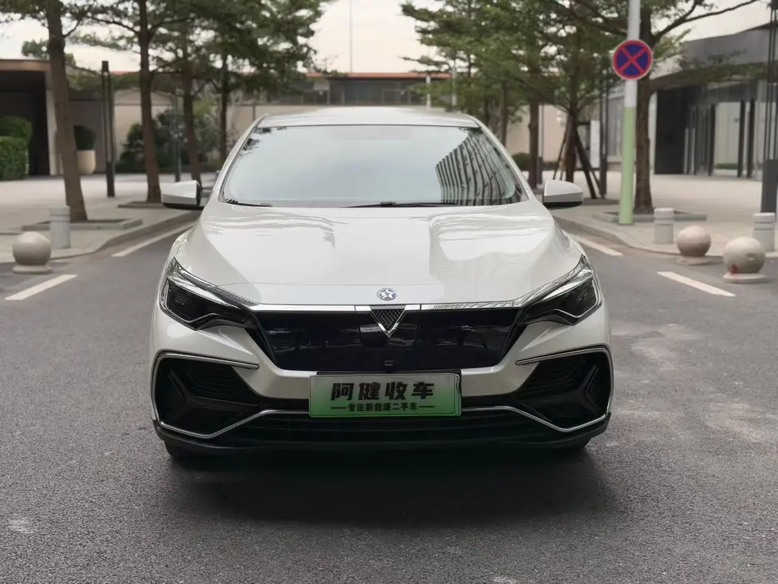 Kai Chen Venucia D60 EV  из Китая