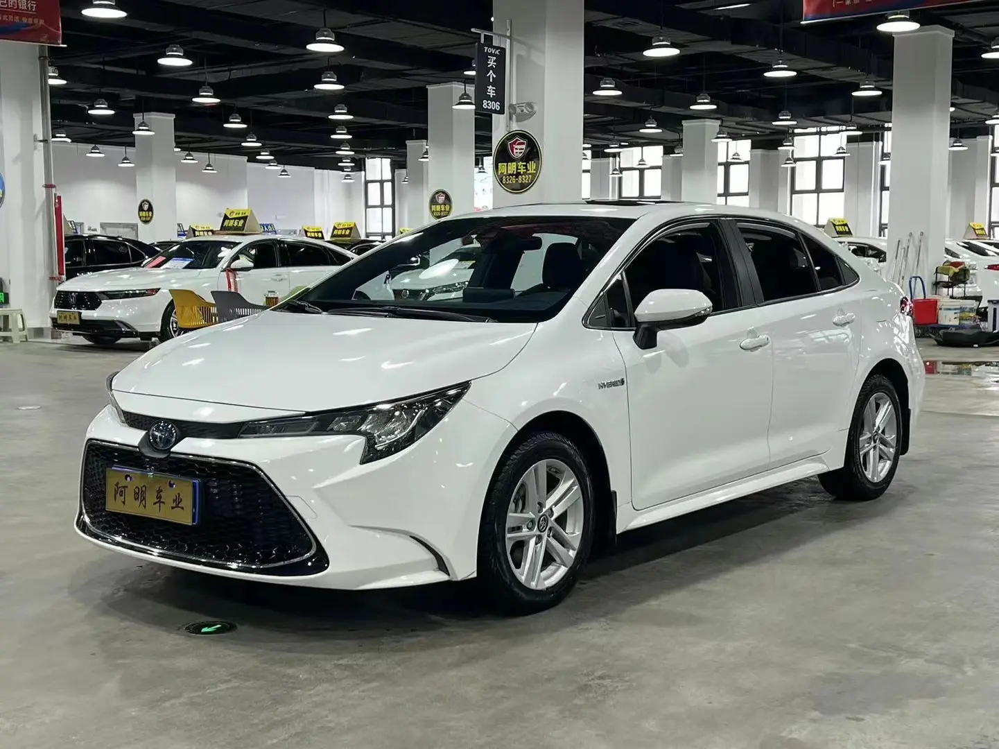 Toyota Levin