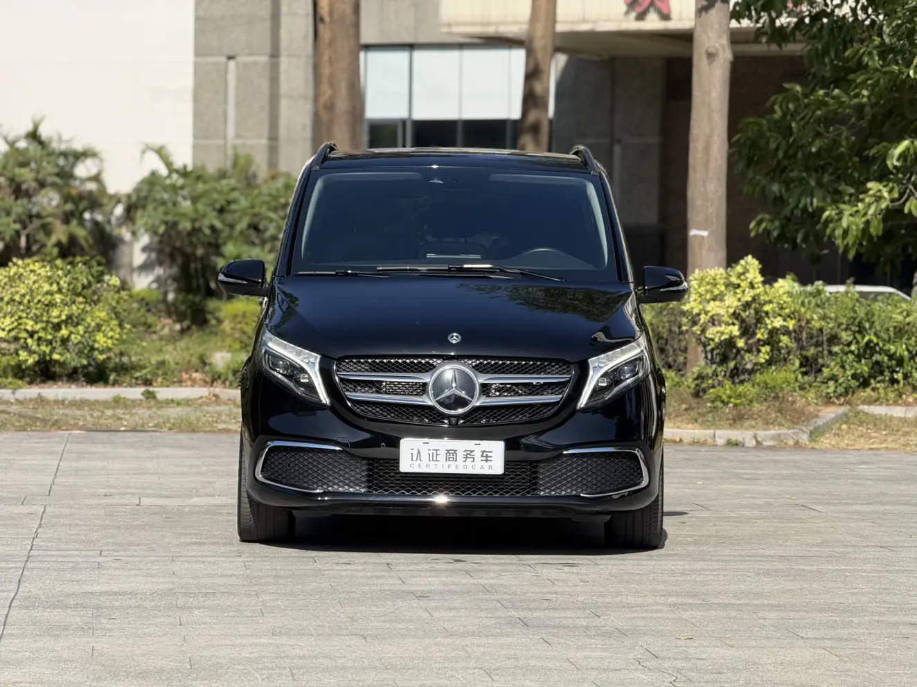 Mercedes-Benz Mercedes Benz V Class  из Китая