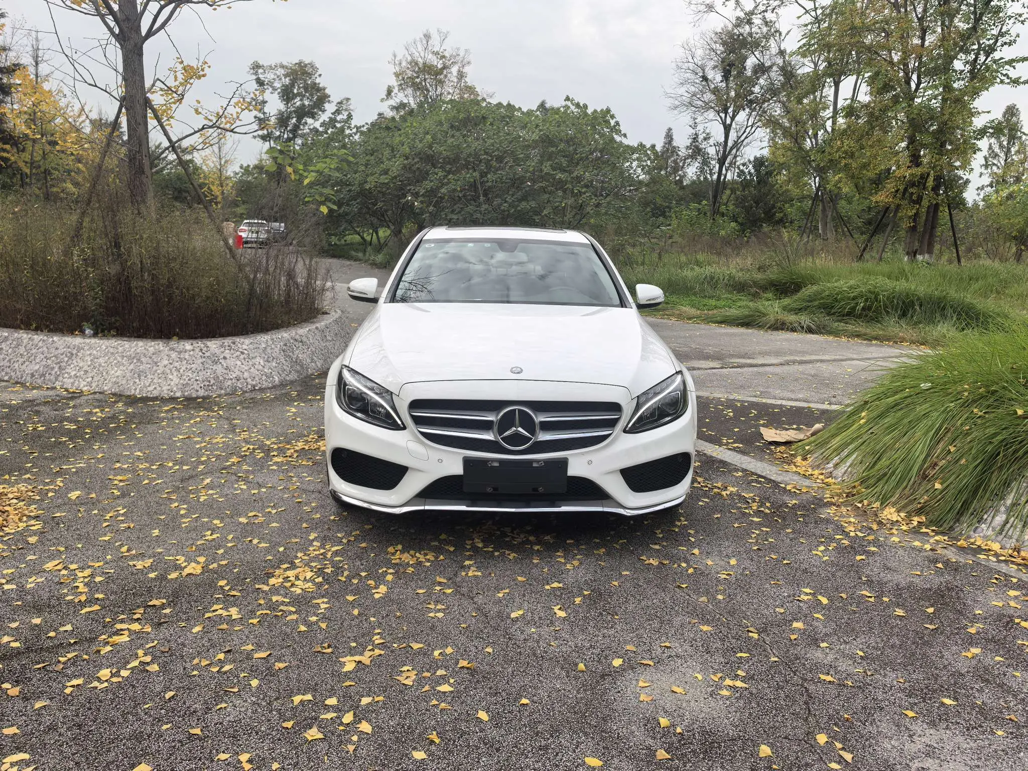 Mercedes-Benz Mercedes Benz C Class  из Китая